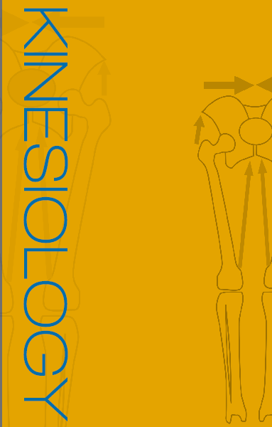 kinesiology vertical
